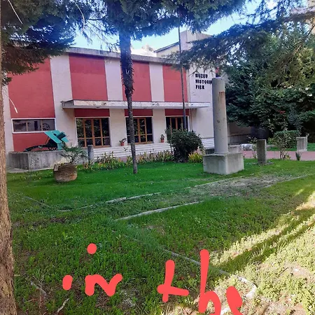 Emily House Appartamento Fier